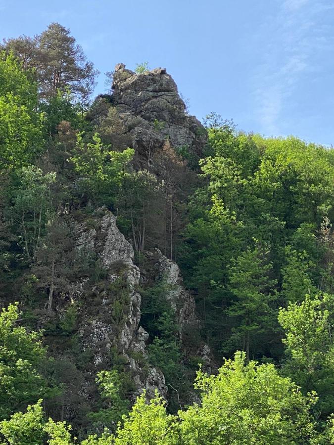Apartmán Duplex Roca Del Sucut Ribes De Freser Exteriér fotografie